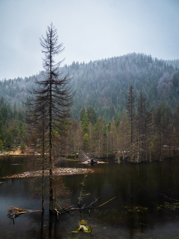 Frühlingsschnee im Seebachtal