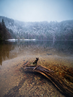 Neuschnee über dem Feldsee