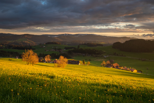 Fotogalerie Südschwarzwald