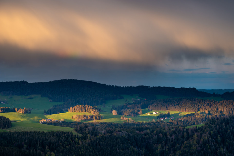 Blick Richtung Breitnau / Weißtannenhöhe