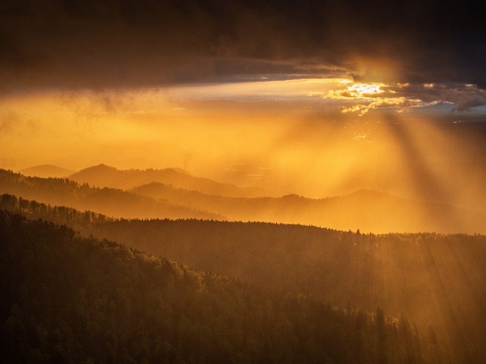 Regen und Abendsonne