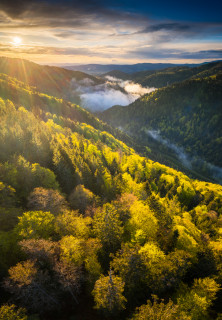 Frühling im Höllental