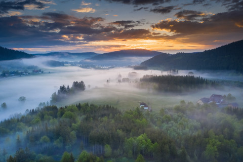 Morgenstimmung zwischen Titisee und Neustadt