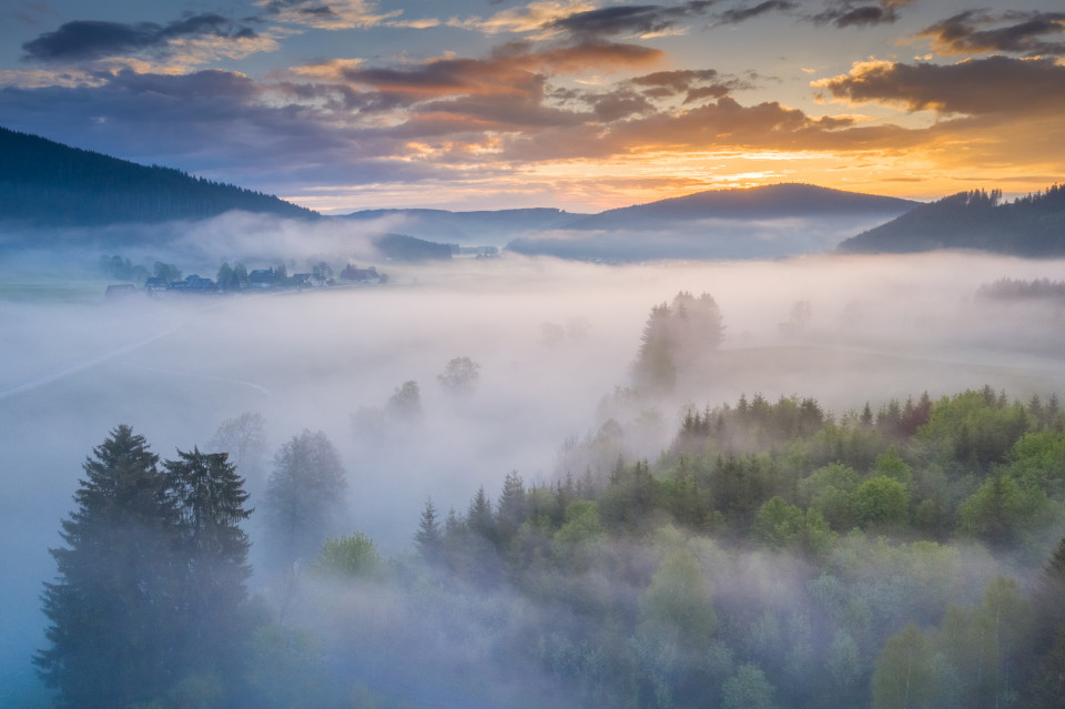 Morgenstimmung zwischen Titisee und Neustadt