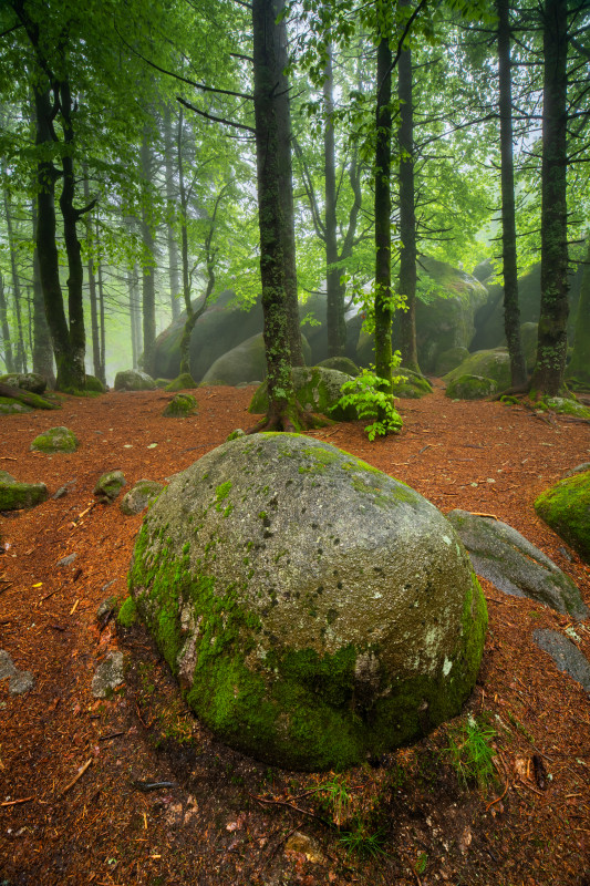 Günterfelsen