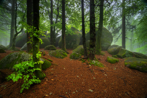 Günterfelsen