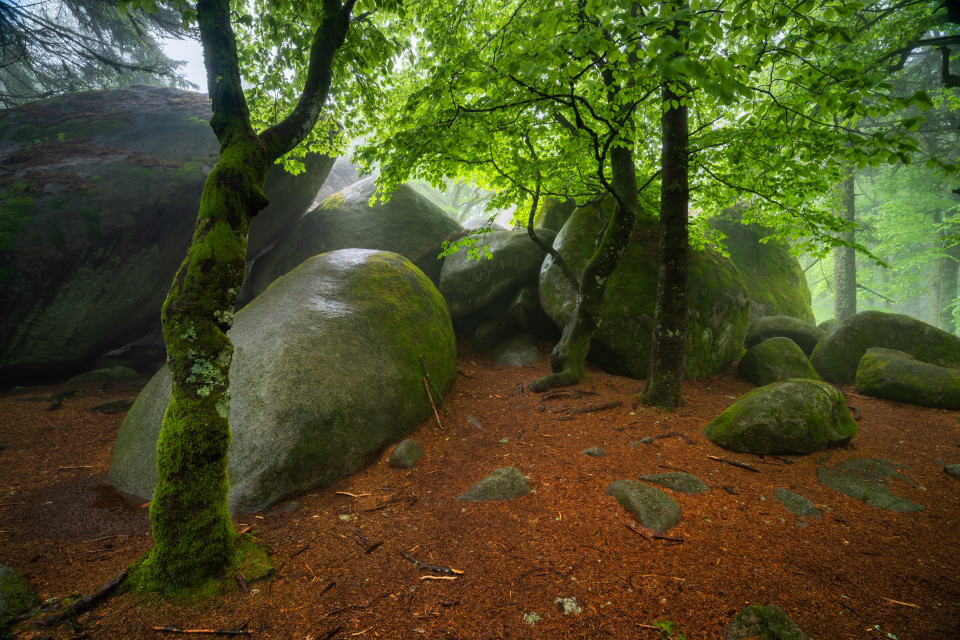 Günterfelsen