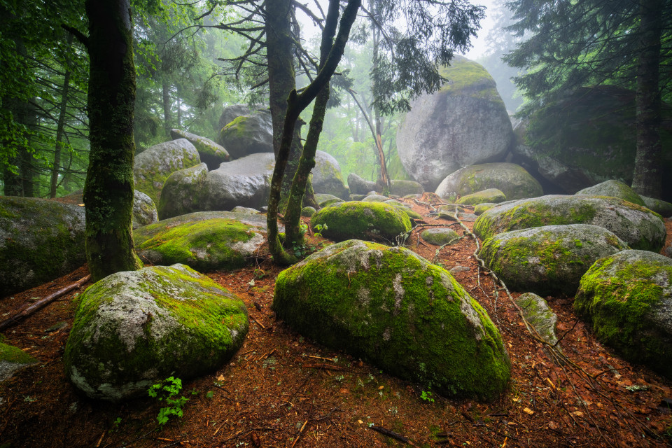 Günterfelsen