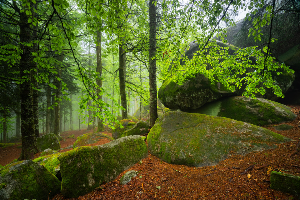 Günterfelsen