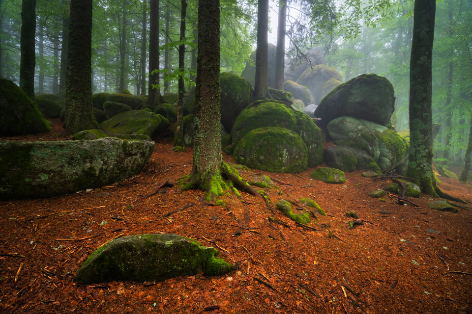 Günterfelsen