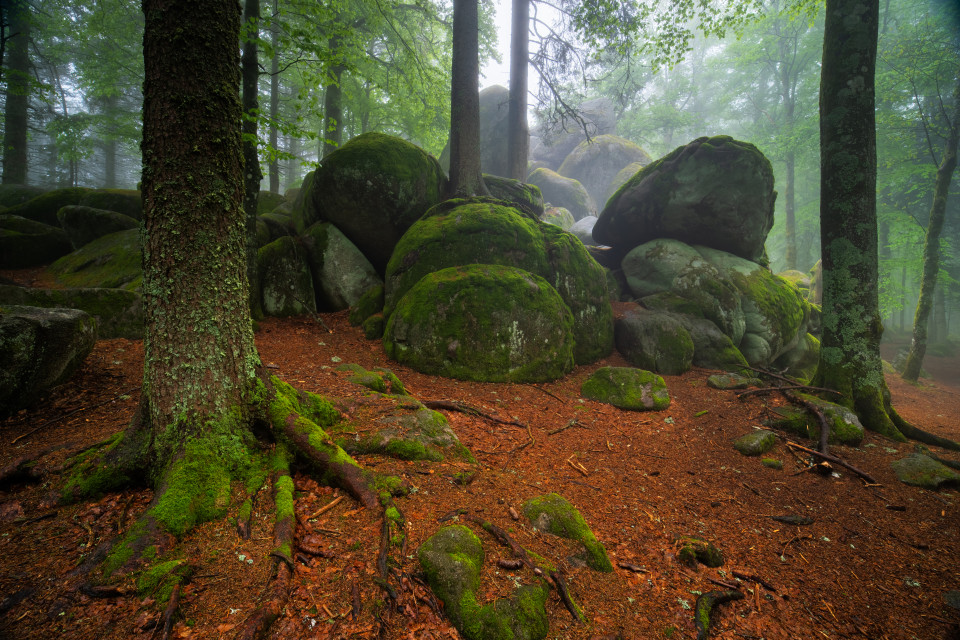 Günterfelsen