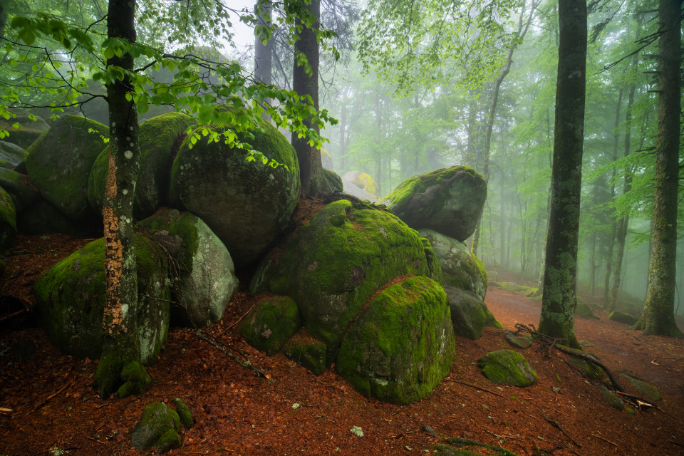 Günterfelsen