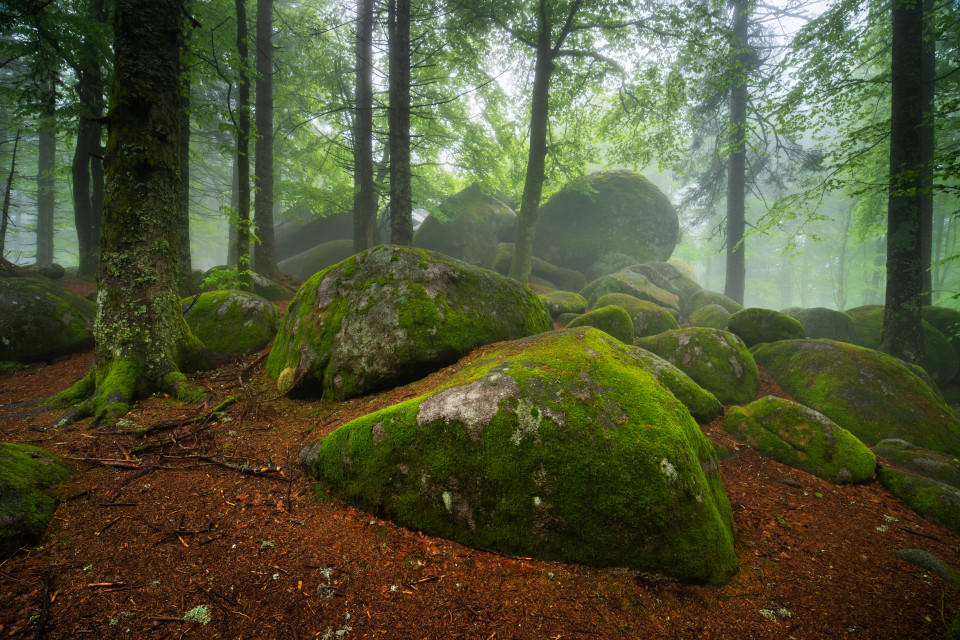 Günterfelsen