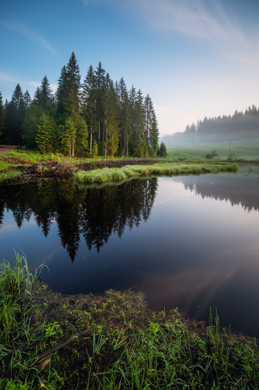 Hirschleweiher