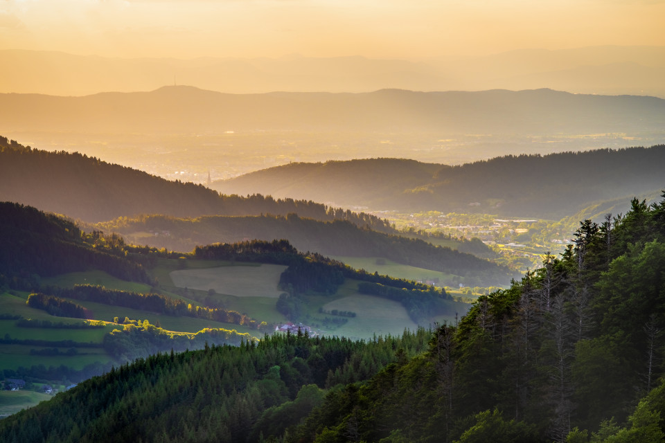 Blick Richtung Freiburg am Roteck