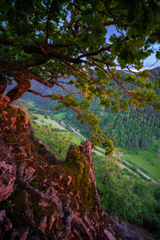 Hinteres Zastlertal