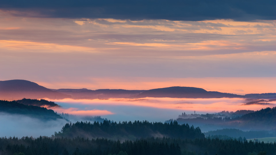 Nebel über der Wutachschlucht