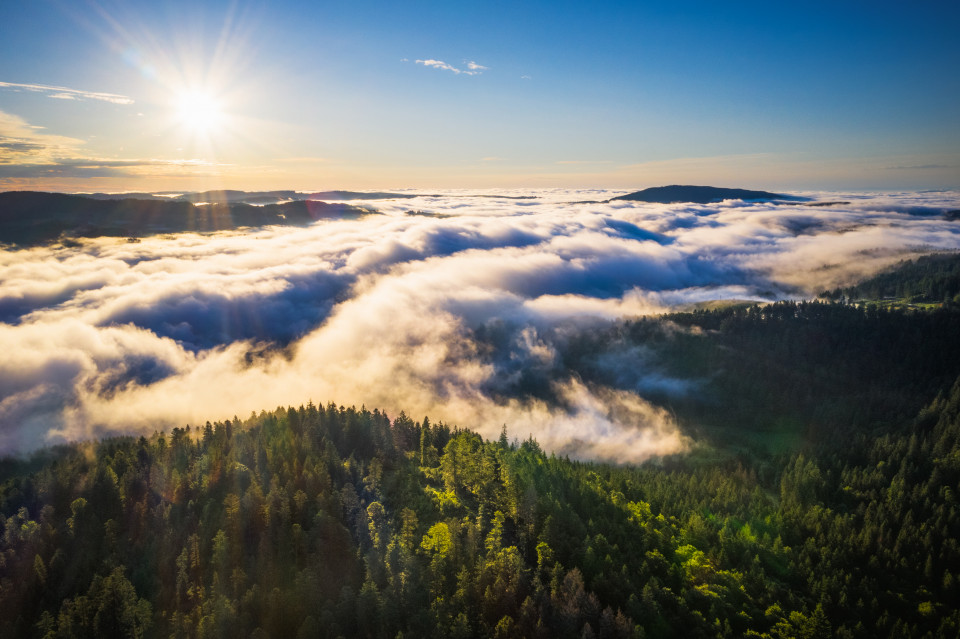 Frühnebel nach Sommergewitter