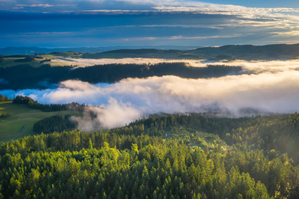 Frühnebel nach Sommergewitter