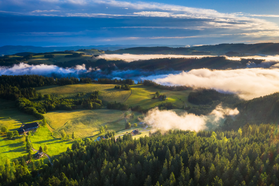 Frühnebel nach Sommergewitter