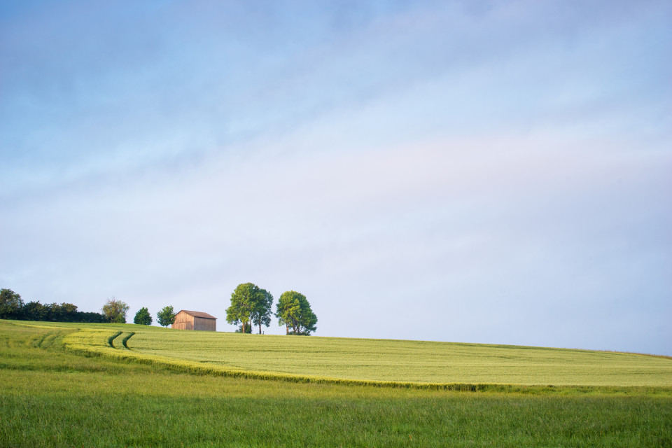 Landschaft bei Dittishausen