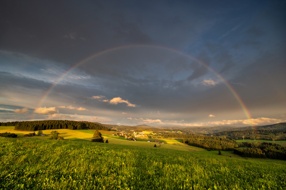Regenbogen über Breitnau