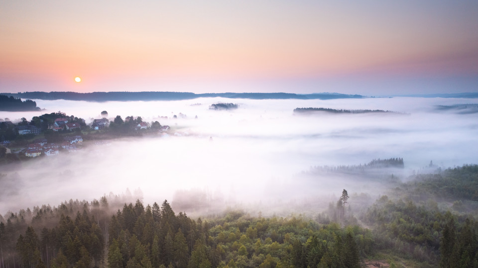 Sommermorgen mit Frühnebel