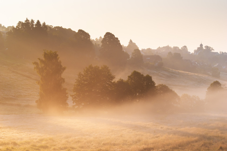 Morgenstimmung im Wolfmoos bei Kappel