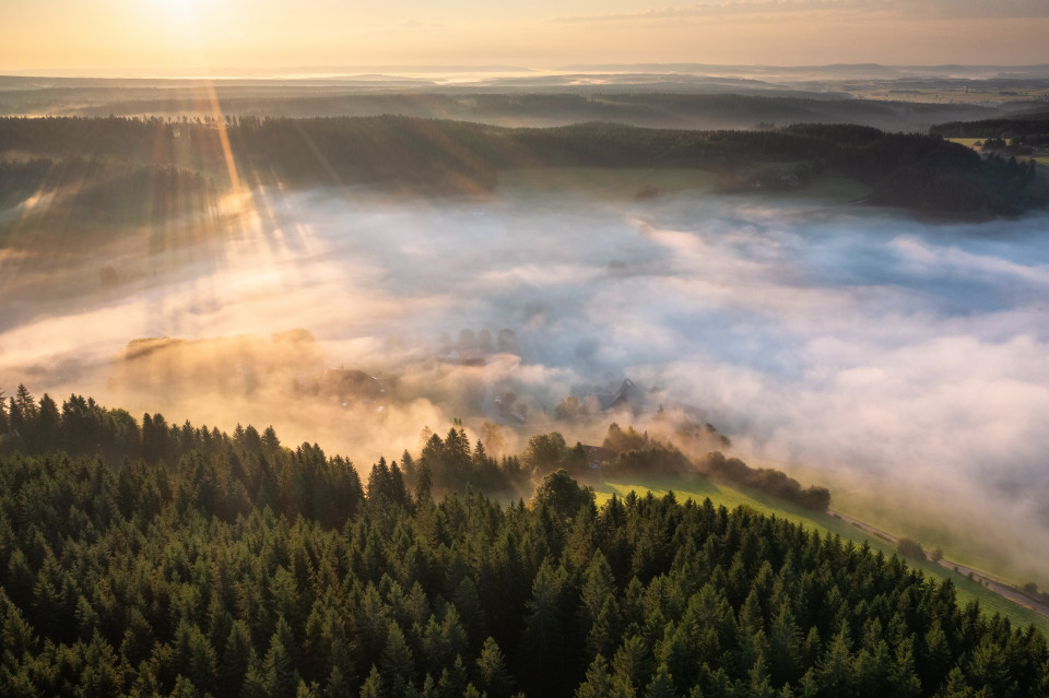 Frühnebel über Rudenberg