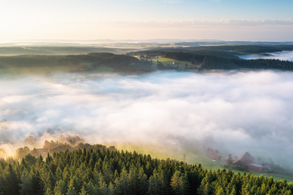 Frühnebel über Rudenberg