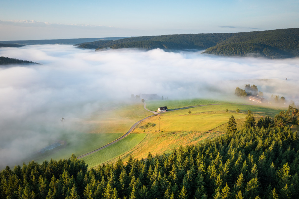 Frühnebel über Rudenberg