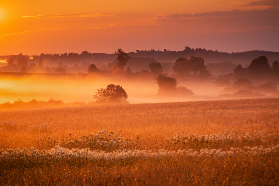 Morgenstimmung in den Rötenbacher Wiesen