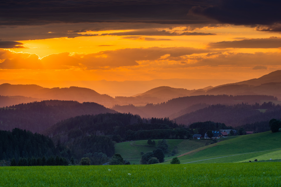 Abendstimmung am Hohlen Graben