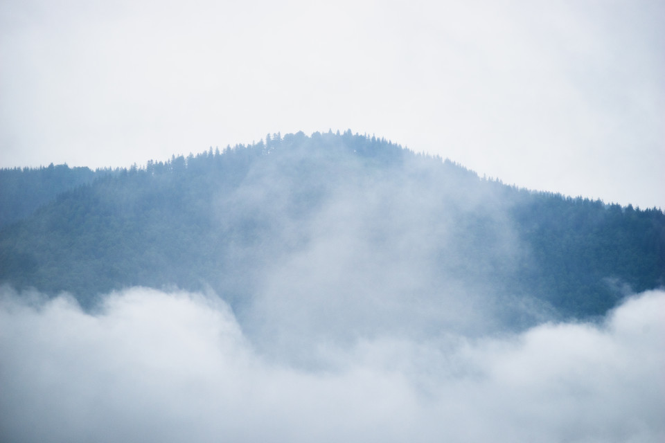 Schwarzwaldlandschaft mit Nebelschwaden