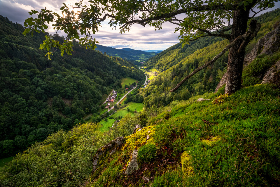 Unteres Zastlertal