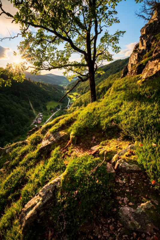 Unteres Zastlertal