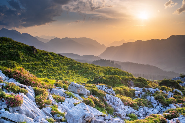 Abendstimmung am Westhang der Silberen