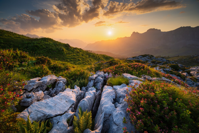 Abendstimmung am Westhang der Silberen