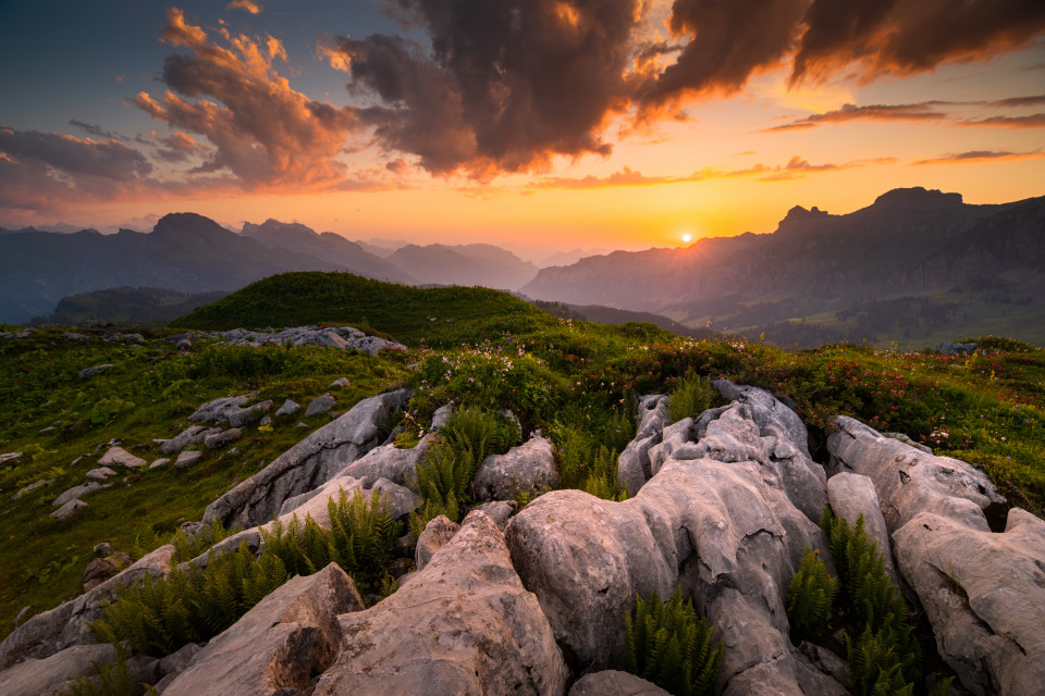 Abendstimmung am Westhang der Silberen