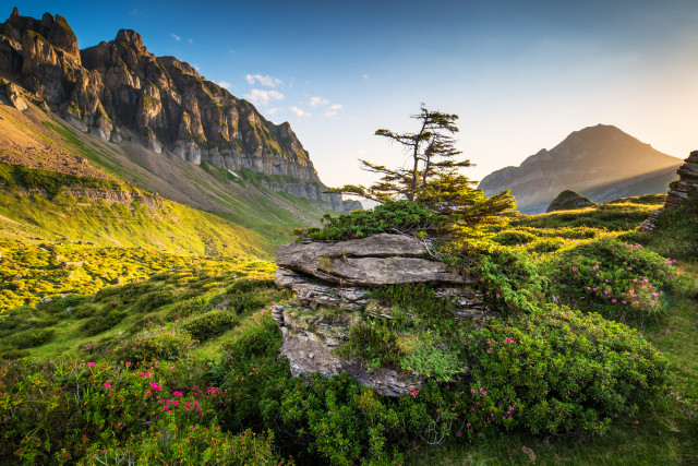 Landschaft auf der Seenalp