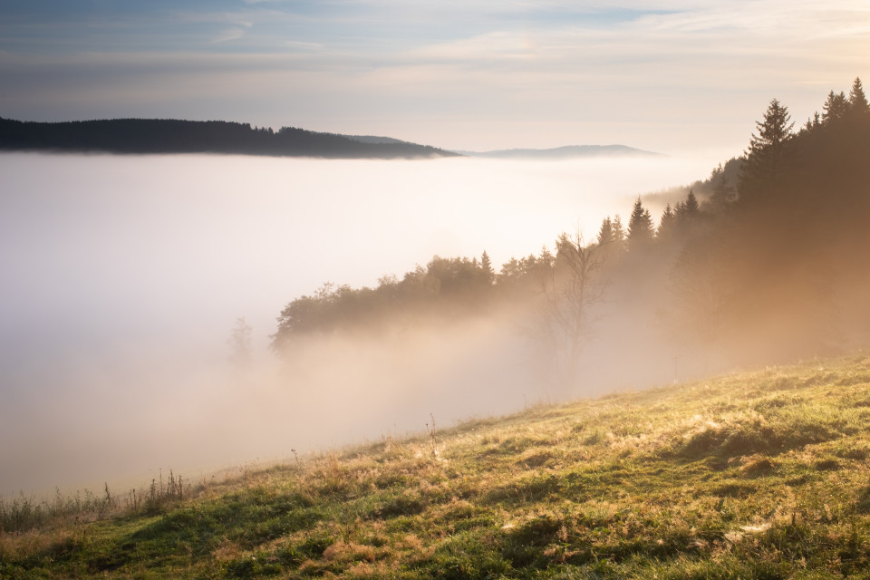 Morgennebel zwischen Hinterzarten und Titisee