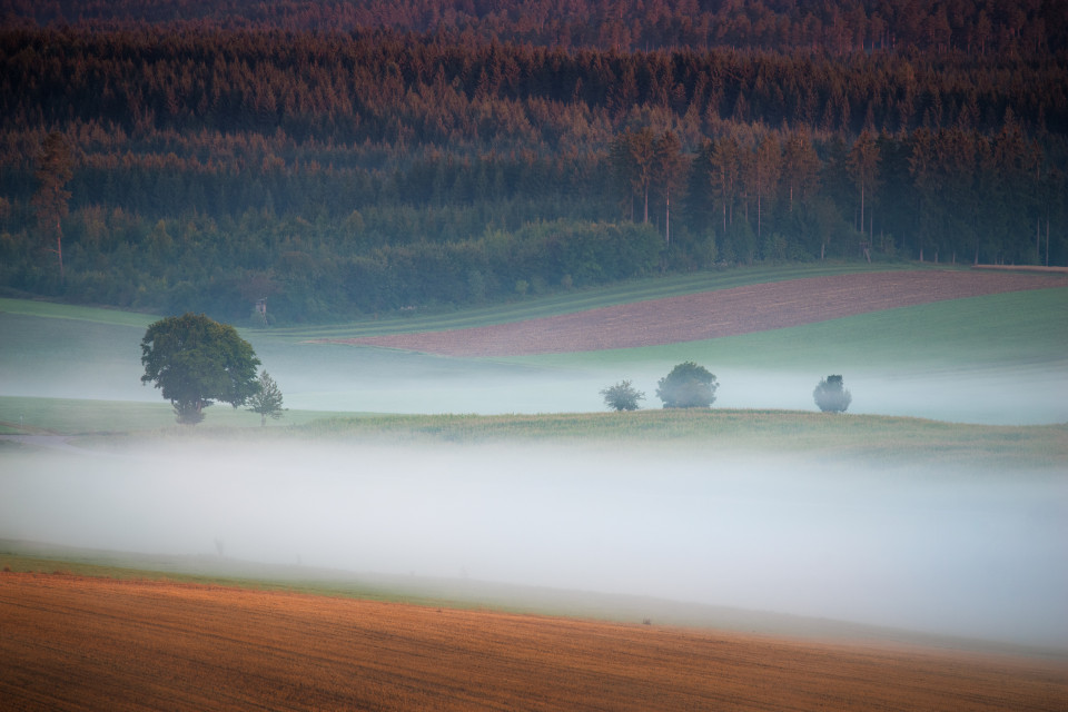 Landschaft bei Dittishausen