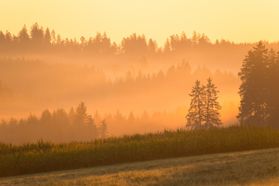 Morgenstimmung im Frühherbst