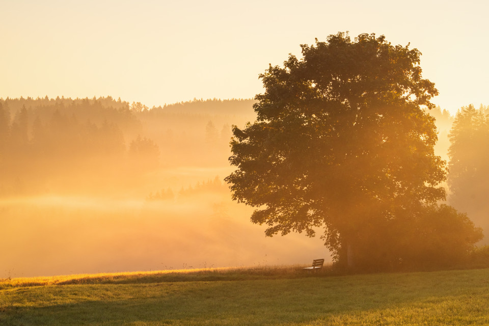 Morgenstimmung im Frühherbst