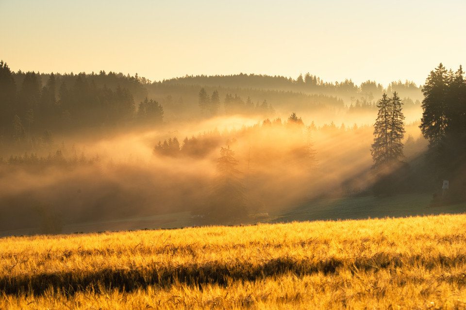 Morgenstimmung im Frühherbst