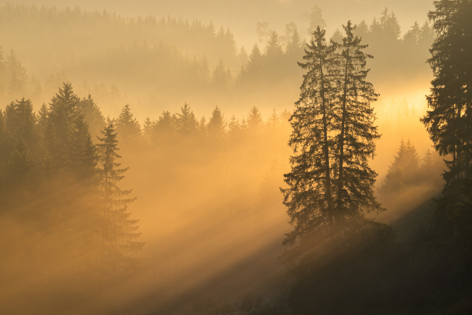 Morgenstimmung im Frühherbst