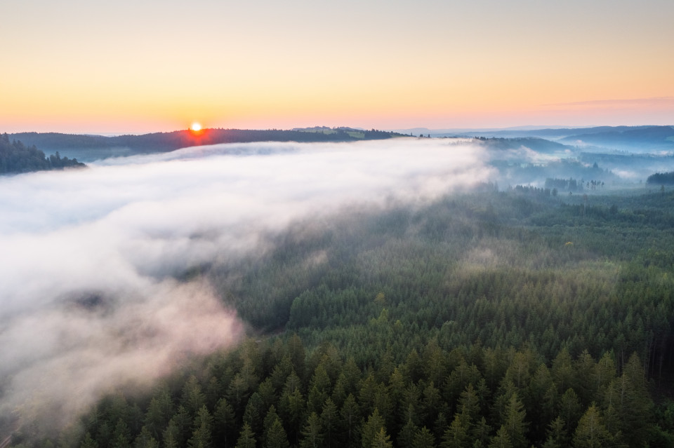 Morgennebel über der Haslach