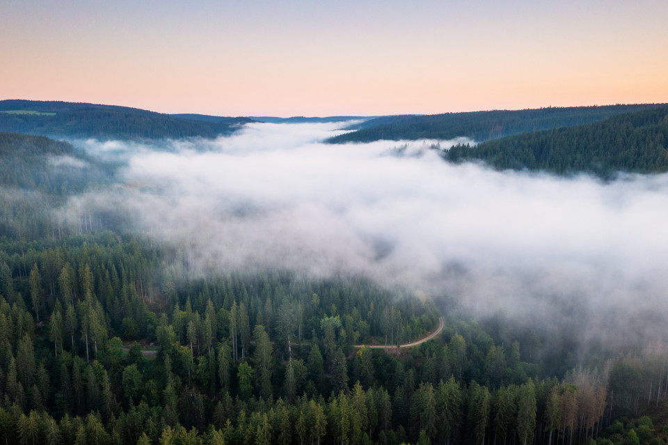 Morgennebel über der Haslach