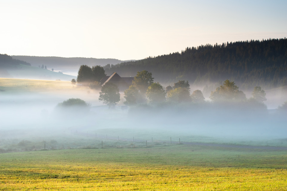 Morgenstimmung oberhalb Waldau