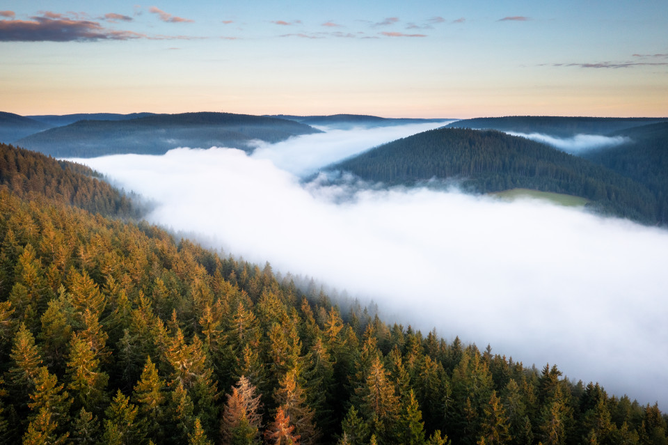 Frühnebel im Bregtal